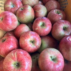 加工用りんご🍎18キロの画像