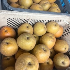 梨🍐王秋🍐大玉❗️10キロの画像