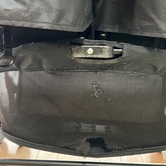 JOIEの双子用ベビーカーの画像