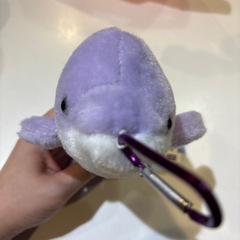 鳴く！震える！イルカのぬいぐるみの画像