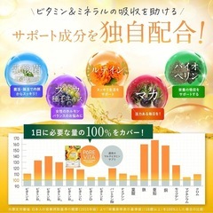 【新品】マルチビタミン ミネラル 30日分 サプリ 栄養機能食品 15種配合 亜鉛 鉄の画像