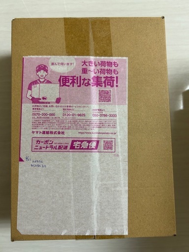 ポケモンカード　テラスタルフェスex