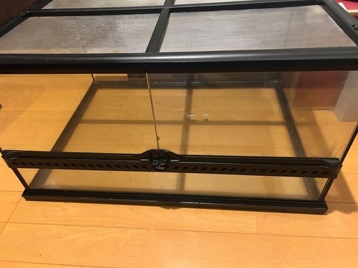 エキゾテラ60ゲージ