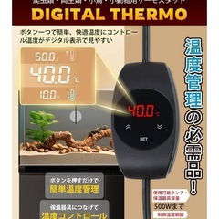 サーモスタット 爬虫類 温度検知機能・最高50℃を維持する トカゲ ヘビ 温度管理の画像