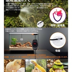 サーモスタット 爬虫類 温度検知機能・最高50℃を維持する トカゲ ヘビ 温度管理の画像