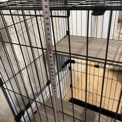 キャットゲージ
の画像