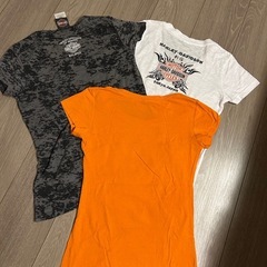 HARLEY-DAVIDSON110周年記念シャツ.ミルウォーキーで購入Tシャツ、半袖Tシャツ
の画像