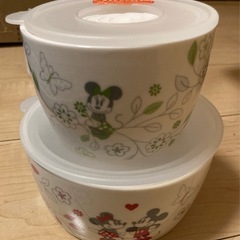 ディズニー保存容器①の画像