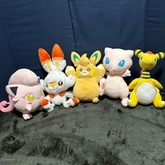 ポケモン　ぬいぐるみ　どれでも1体の画像