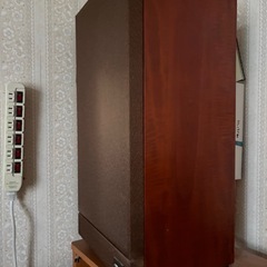 義祖父のカラオケ部屋のものもの2/2の画像