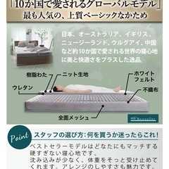 セミダブルローベッド&マットレス/棚・2口コンセント付き（シャビーグレー）の画像