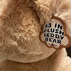 大きいクマの画像