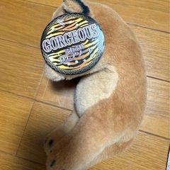 ライオンぬいぐるみの画像