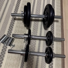 ワイルドフィット　モリヤ　WFG ダンベルプレート20kg シャフト
の画像