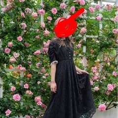 Swankiss  の画像