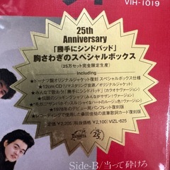 サザンオールスターズ　勝手にシンドバッド　胸さわぎのスペシャルボックス　未開封（シュリンクつき付き）の画像