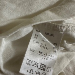 大人服 Tシャツ Mサイズの画像