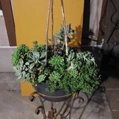 多肉植物と花台の画像