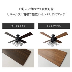 シーリングファン ライトの画像