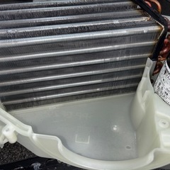 分解フルクリーニング済み シャープ ES-W113  2021y　人気モデルの画像