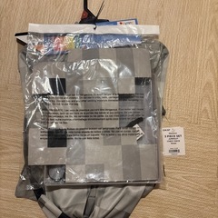 マインクラフト・コスチュームの画像