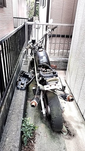 モンキー　エイプ