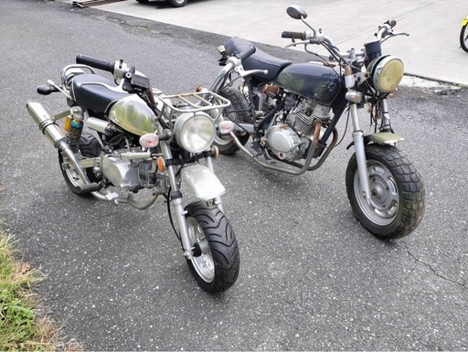 モンキー　エイプ