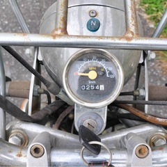 モンキー　エイプの画像