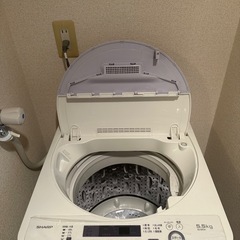 【無料で譲ります】SHARP 洗濯機の画像