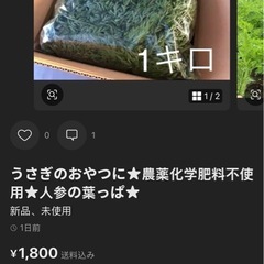にんじんの葉っぱの画像
