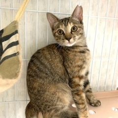 可愛い5か月の3姉妹❗️