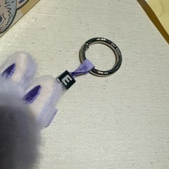 正規品　ラブブ　イニシャル　E
パープル　ぬいぐるみ　キーホルダーの画像