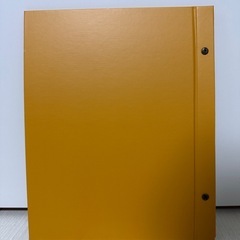 アルバム アルバス ALBUSBOOK U! マスタードの画像