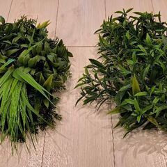フェイクグリーン　タペストリー　自然　壁面の画像