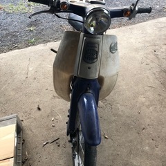 カブの画像