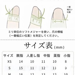 ネイルチップ1つ600の画像