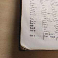 『新英和中辞典　改訂版』岩崎民平・小稲義男監修　研究社の画像