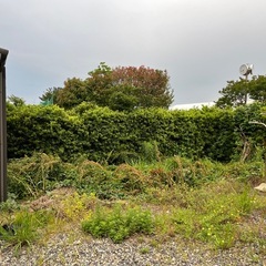 ※期間限定※お庭の管理、剪定、草刈り...etc