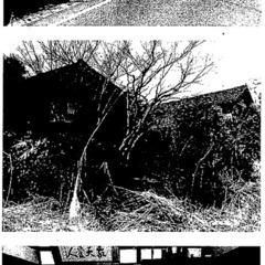 №D848【新潟県佐渡市】佐渡島の空き家・畑・山林等あげます！現...