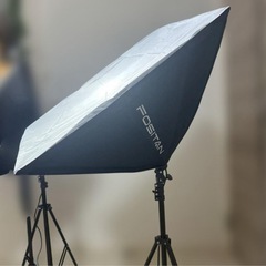 Fositan LS-2000 照明用 50x70cm 電球x4の画像