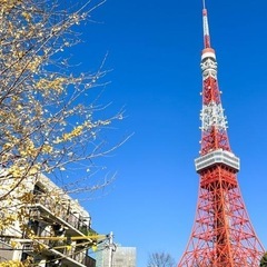 急募高単価💰　石綿補助・手元　週払い可　（東京）