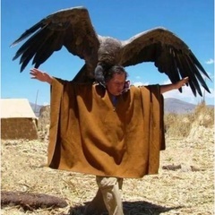 【モニター募集】本物のシャーマンによる無料スピリチュアルリーディングの画像