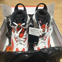 【新品】ナイキ エアジョーダン6 レトロ ゲータレード 27cmの画像