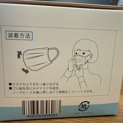 不織布マスク（50枚）5箱の画像