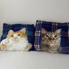 裏起毛　猫クッション　2個セットの画像