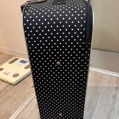 COMME CA ISM のキャリーケースの画像