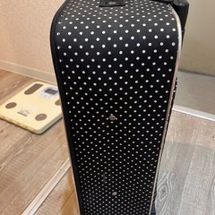 COMME CA ISM のキャリーケースの画像