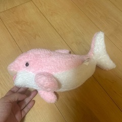 ぬいぐるみの画像