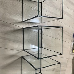 値下げ⭕️CUBE水槽3つとシートひーたーヒーターの画像