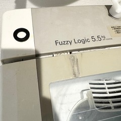 洗濯機　LGエレクトロニクス WF-55WSB [シルバーホワイト]の画像